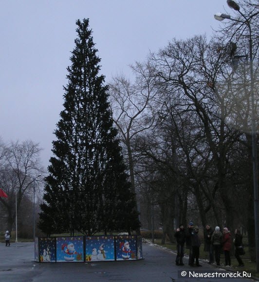 Новогоднюю елку установили на площади Свободы.
