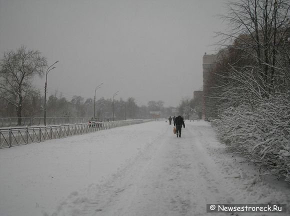 Сестроорецк завалило снегом.