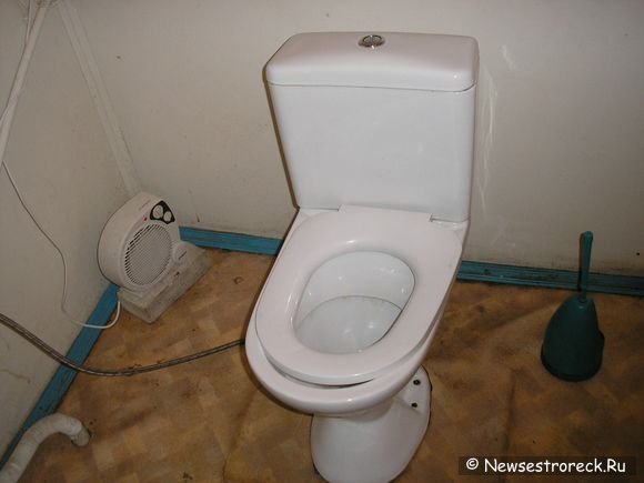 Где в Сестрорецке сходить в туалет ?