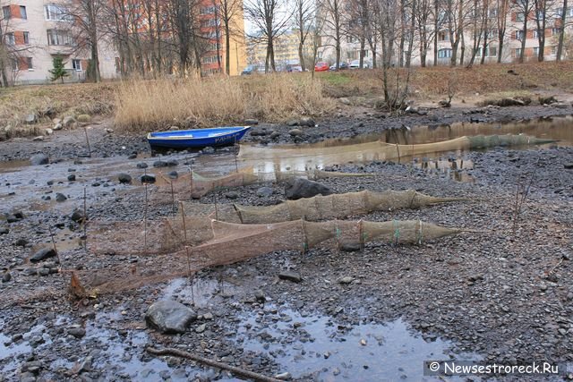 Сестрорецкие браконьеры захватили водосливной канал "Шипучка"