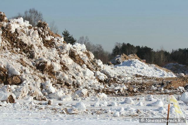 В «Дюнах» уничтожен нудистский пляж