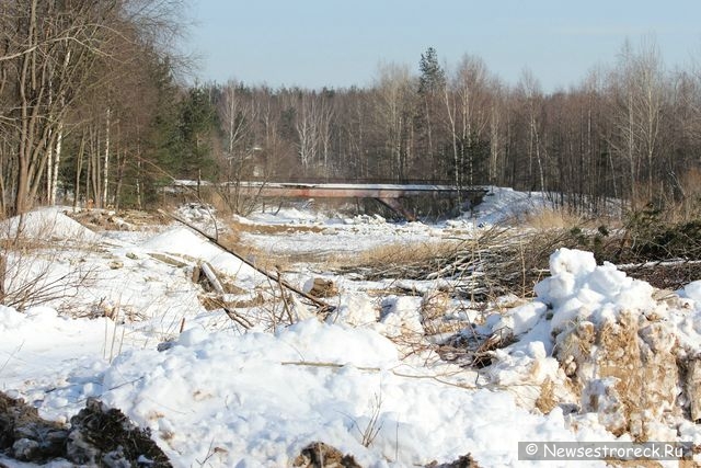 В «Дюнах» уничтожен нудистский пляж