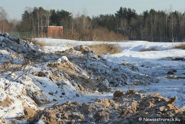 В «Дюнах» уничтожен нудистский пляж