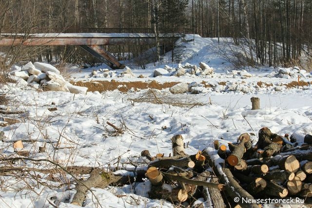 В «Дюнах» уничтожен нудистский пляж