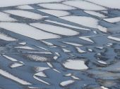 МЧС предупреждает о дрейфе льда в Финском заливе