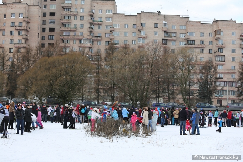 "Лыжня России - 2014" в Сестрорецке