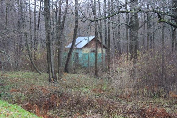 В парке "Дубки" будет восстановлен Голландский сад