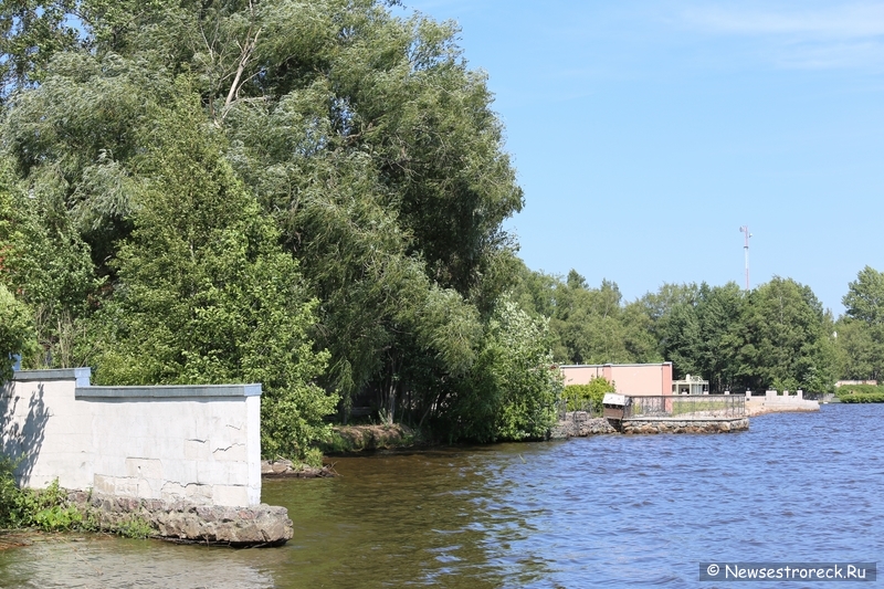 Экологическая прогулка-инспекция по берегозахватам озера Сестрорецкий Разлив