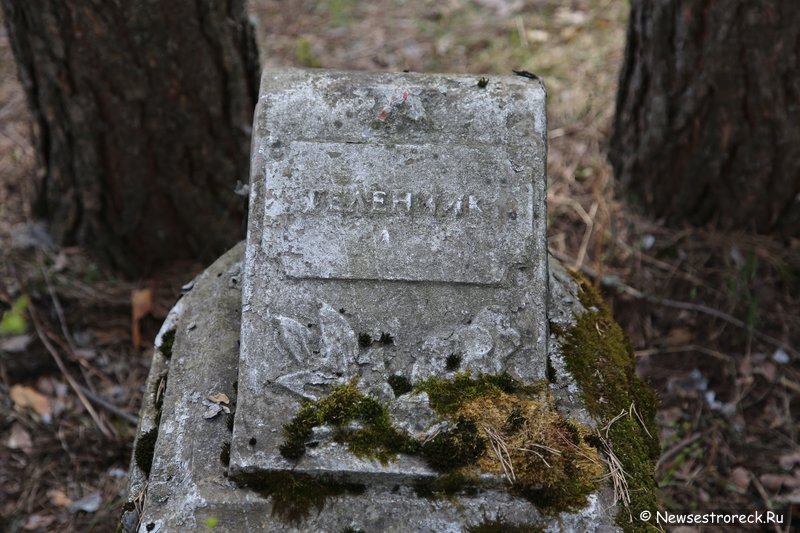 Могилы погибших на воскреснике 1-го августа 1920 года