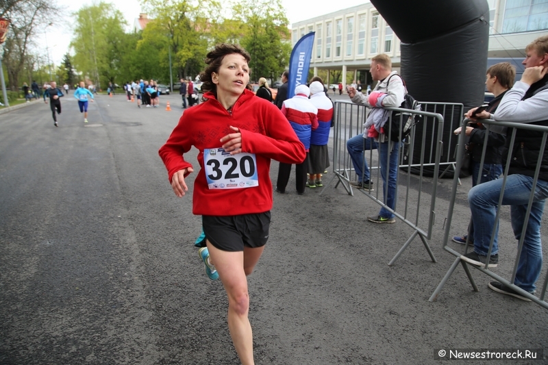 Как это было: "Сестрорецкий полумарафон 2015" Как это было: "Сестрорецкий полумарафон 2015"
