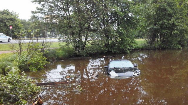 В Сестрорецке Porsche нырнул в озеро Разлив