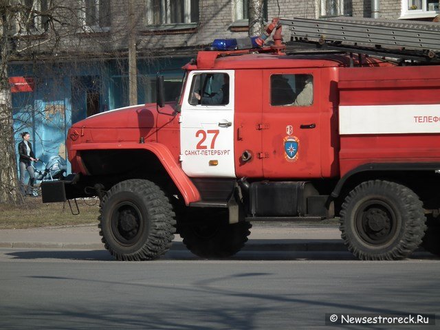 Трое огнеборцев из Сестрорецка представлены к награде «За спасение на пожаре»