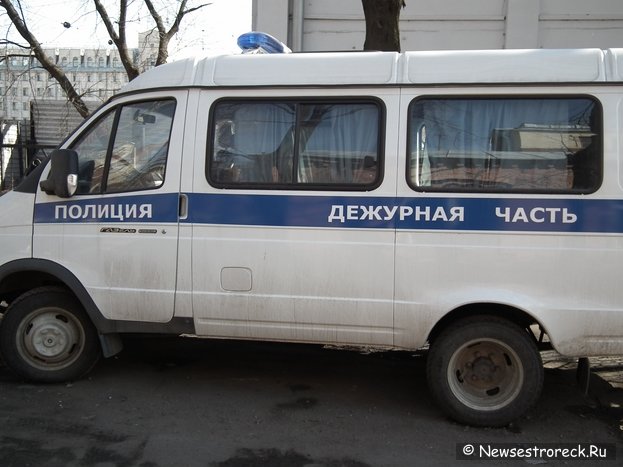 В Сестрорецке поймали дезертира