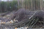 «Водоканал» расчищает территорию у «Ржавой канавы» для новой водопроводной станции