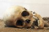 Человеческие останки нашли в Белоострове