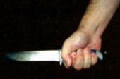 Отдыхающие из санатория в Сестрорецке подрались на ножах
