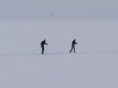 Во льду Финского залива нашли тело