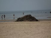 В Курортном районе начали убирать пляжи