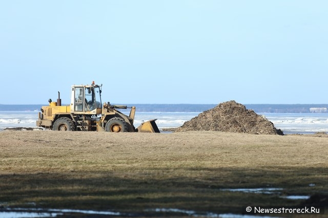 Более 2, 5 тысяч кубометров было вывезено с четырех пляжей Курортного района