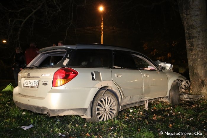 В Сестрорецке автомобиль «Субару» врезался в дерево