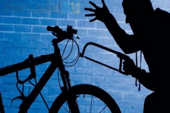 В Сестрорецке раскрыта кража велосипеда